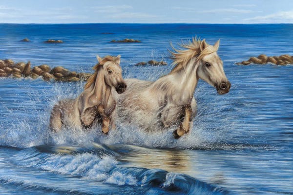 Richard Macwee: Camargue Horses by Richard Macwee
