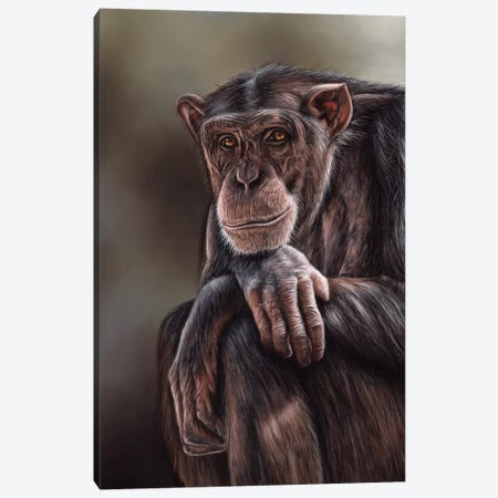 Chimpanzee Canvas Print #RMC7} by Richard Macwee Canvas Artwork