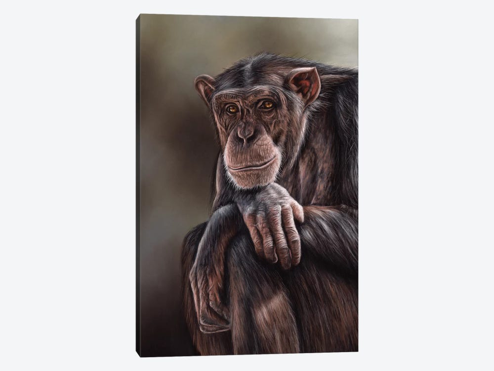 Chimpanzee by Richard Macwee 1-piece Canvas Art