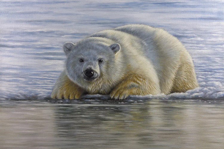 Polar Bear By The Water