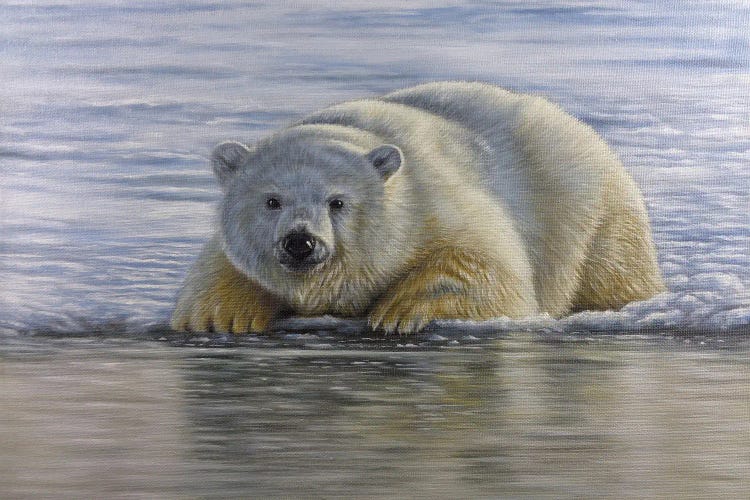 Polar Bear By The Water