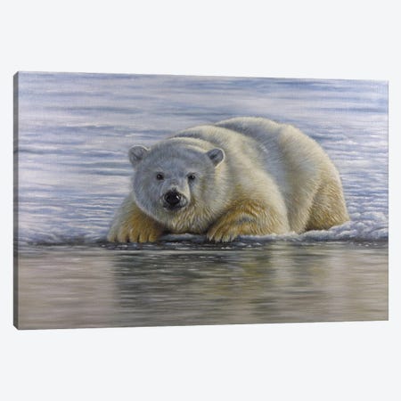 Polar Bear By The Water Canvas Print #RMC80} by Richard Macwee Canvas Art Print