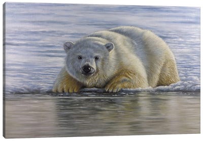 Polar Bear By The Water Canvas Art Print - Richard Macwee