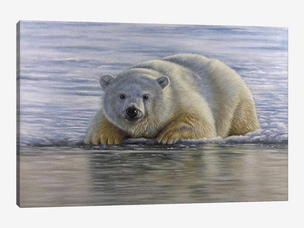 Polar Bear By The Water by Richard Macwee 1-piece Canvas Art