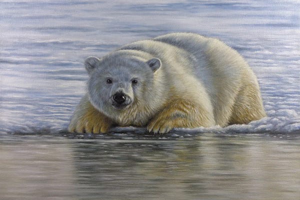 Richard Macwee: Polar Bear By The Water by Richard Macwee