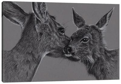 Deer With Fawn Canvas Art Print - Richard Macwee