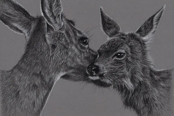 Richard Macwee: Deer With Fawn by Richard Macwee