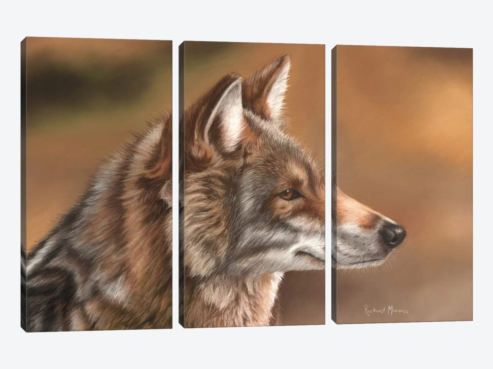 Coyote by Richard Macwee 3-piece Canvas Art Print