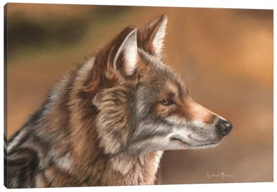 Coyote Canvas Art Print - Hyper-Realistic & Detailed Drawings