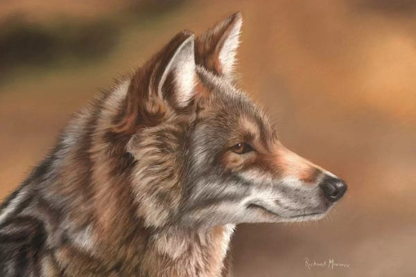 Coyotes: Coyote by Richard Macwee
