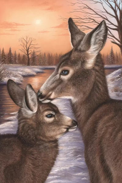 Deer And Fawn by Richard Macwee framed canvas print