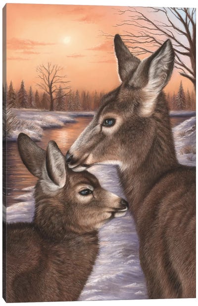Deer And Fawn Canvas Art Print - Richard Macwee