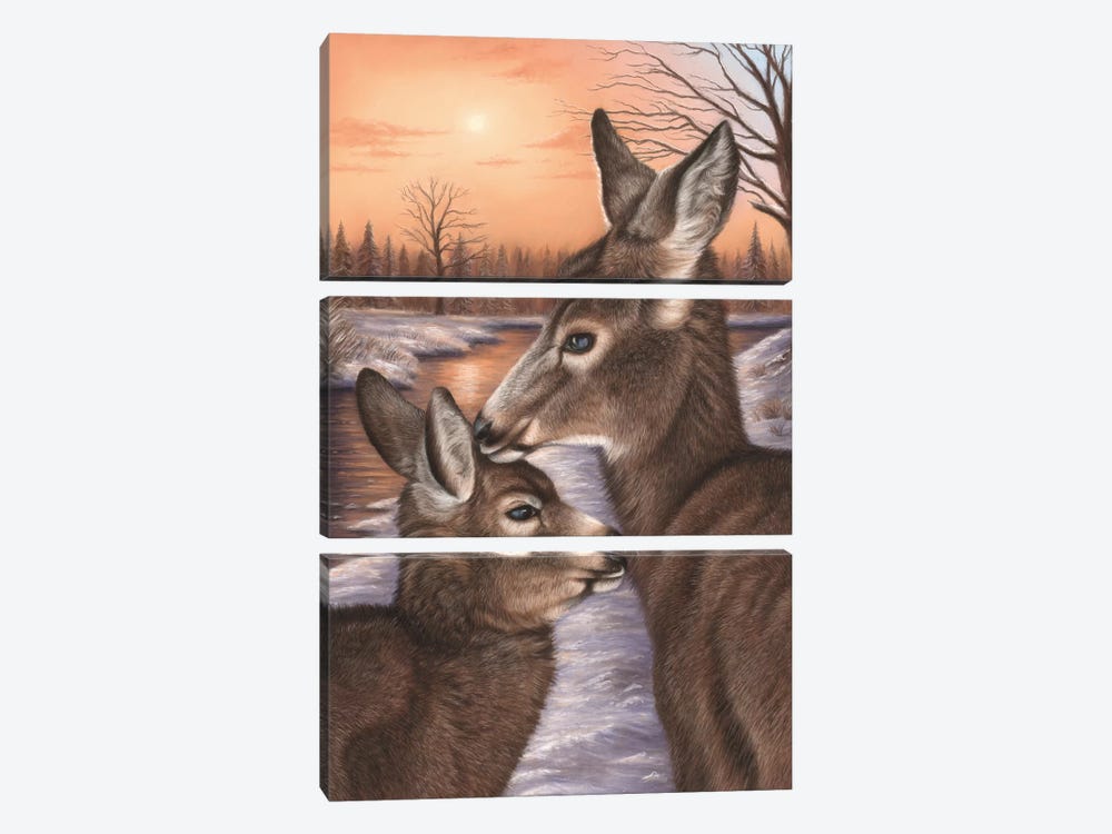 Deer And Fawn by Richard Macwee 3-piece Canvas Wall Art