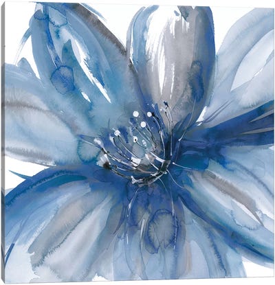 Blue Beauty I Canvas Art Print