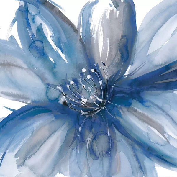 Floral Close-Ups: Blue Beauty I by Rebecca Meyers