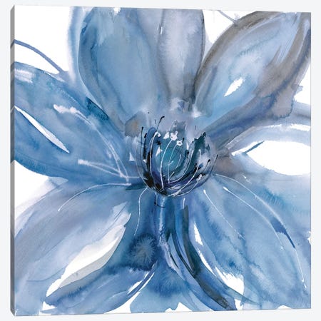 Blue Beauty II Canvas Print #RME3} by Rebecca Meyers Canvas Print