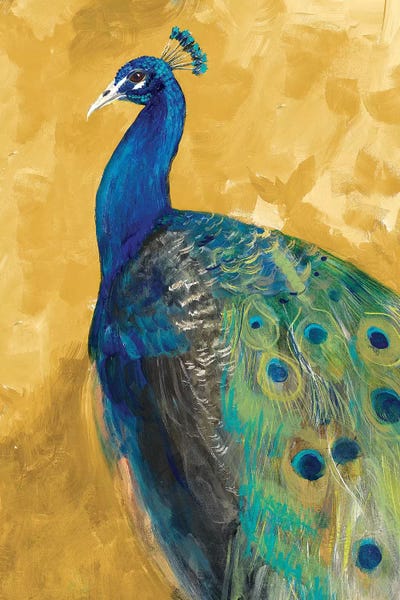 Royal Plume on Gold by Robin Maria canvas print