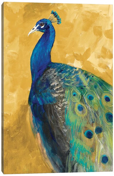 Royal Plume on Gold Canvas Art Print - Peacock Art