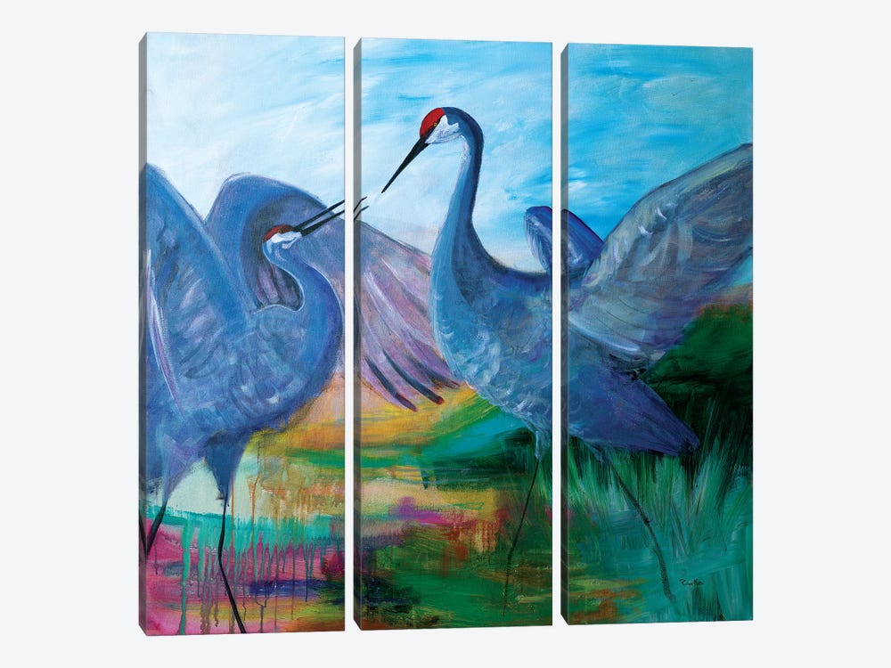 Sandhill Cranes by Robin Maria 3-piece Canvas Artwork