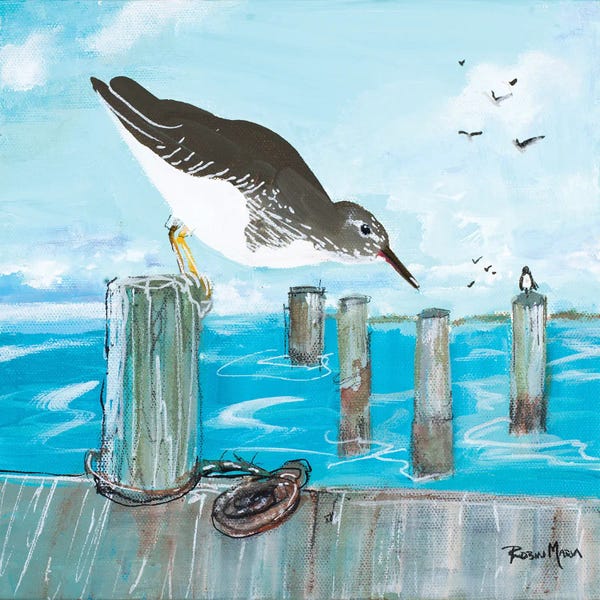 Docks & Piers: Sandpiper Pier by Robin Maria