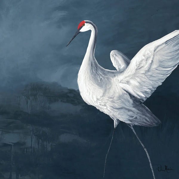 Sandhill Crane