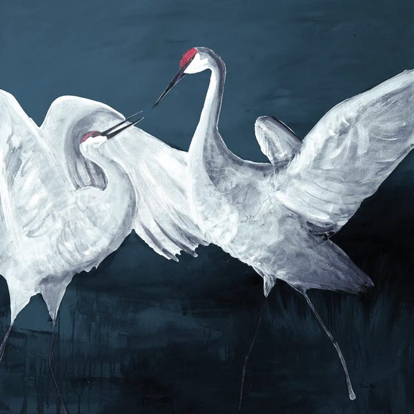 Two Sandhill Cranes