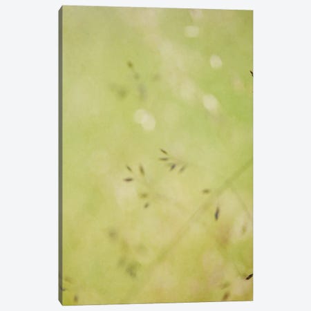 Seeds Of Summer Canvas Print #RMU146} by Roberta Murray Canvas Art Print
