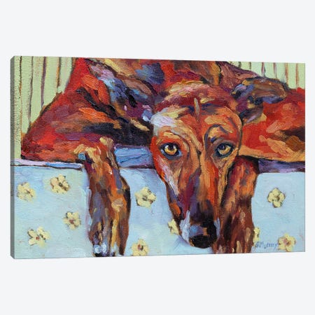Lauren The Greyhound Canvas Print #RMU194} by Roberta Murray Canvas Artwork
