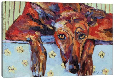 Lauren The Greyhound Canvas Art Print - Roberta Murray