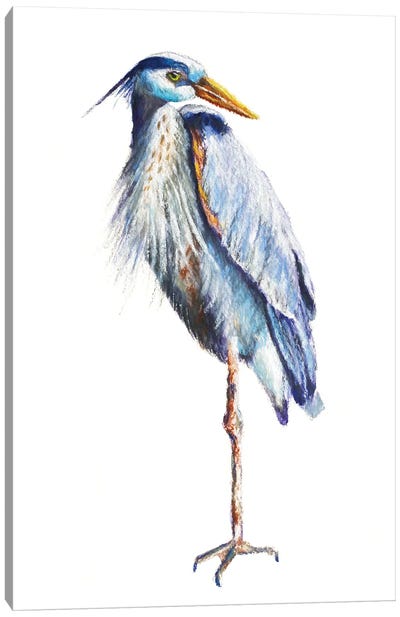 Great Blue Heron Canvas Art Print - Roberta Murray
