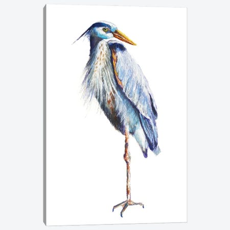 Great Blue Heron Canvas Print #RMU199} by Roberta Murray Canvas Art Print