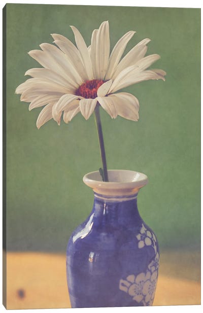 Daisy In Vase Canvas Art Print - Daisy Art