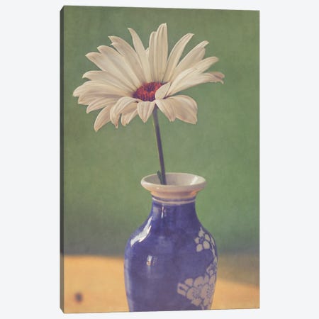Daisy In Vase Canvas Print #RMU204} by Roberta Murray Canvas Wall Art