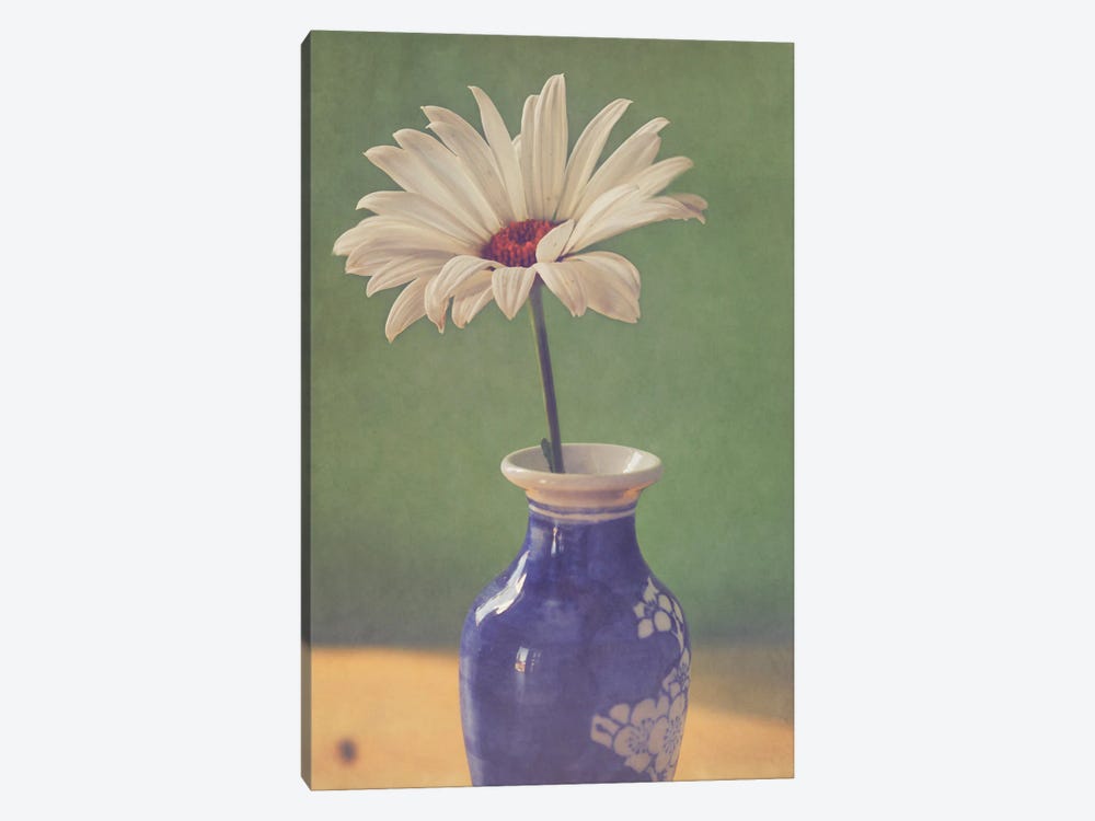 Daisy In Vase by Roberta Murray 1-piece Canvas Art Print