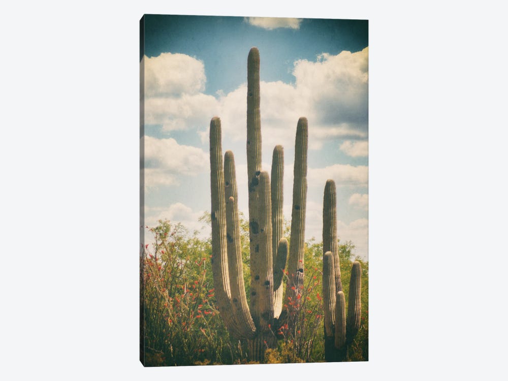 Old Mexico by Roberta Murray 1-piece Art Print