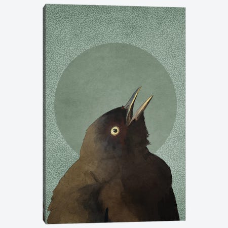 Blackbird Canvas Print #RMU210} by Roberta Murray Canvas Artwork