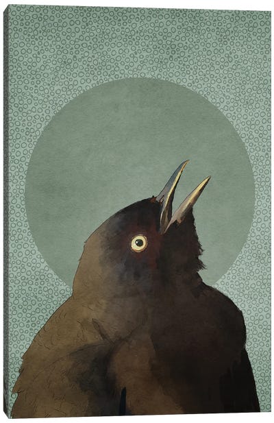 Blackbird Canvas Art Print - Roberta Murray