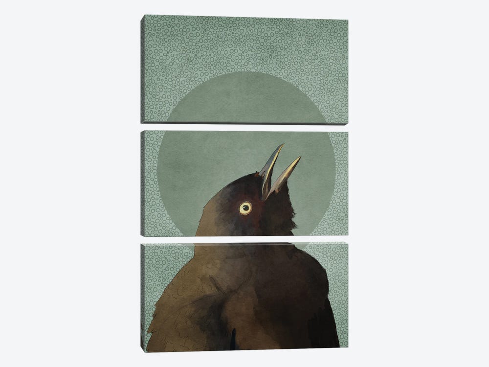 Blackbird by Roberta Murray 3-piece Canvas Art