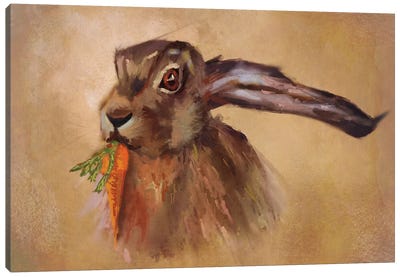 March Hare Canvas Art Print - Roberta Murray