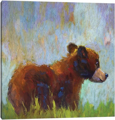 Tiny Tim Canvas Art Print - Brown Bear Art