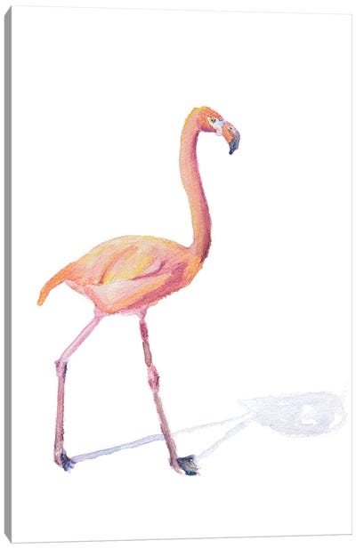 Flamingo Shadow Canvas Art Print - Roberta Murray