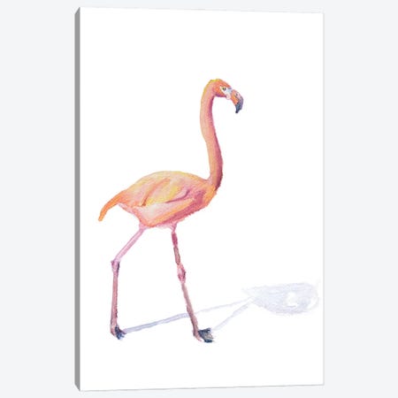 Flamingo Shadow Canvas Print #RMU222} by Roberta Murray Canvas Art Print