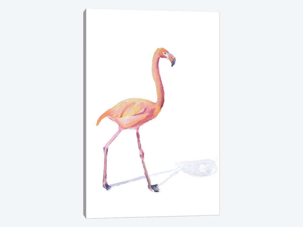 Flamingo Shadow by Roberta Murray 1-piece Canvas Print