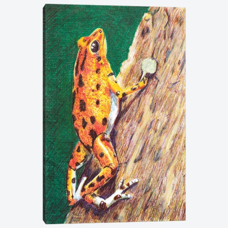 Poison Dart Frog Canvas Print #RMU223} by Roberta Murray Art Print