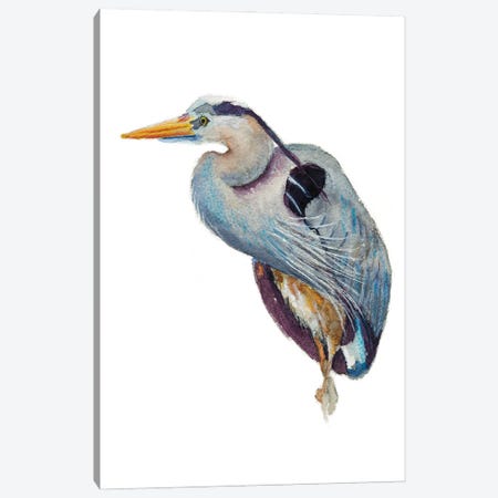 Heron Poser Canvas Print #RMU224} by Roberta Murray Canvas Art