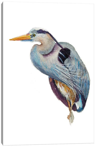 Heron Poser Canvas Art Print - Heron Art