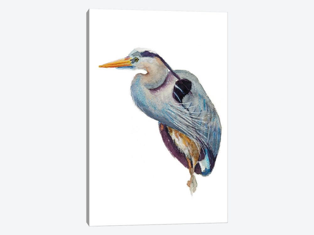 Heron Poser by Roberta Murray 1-piece Canvas Print