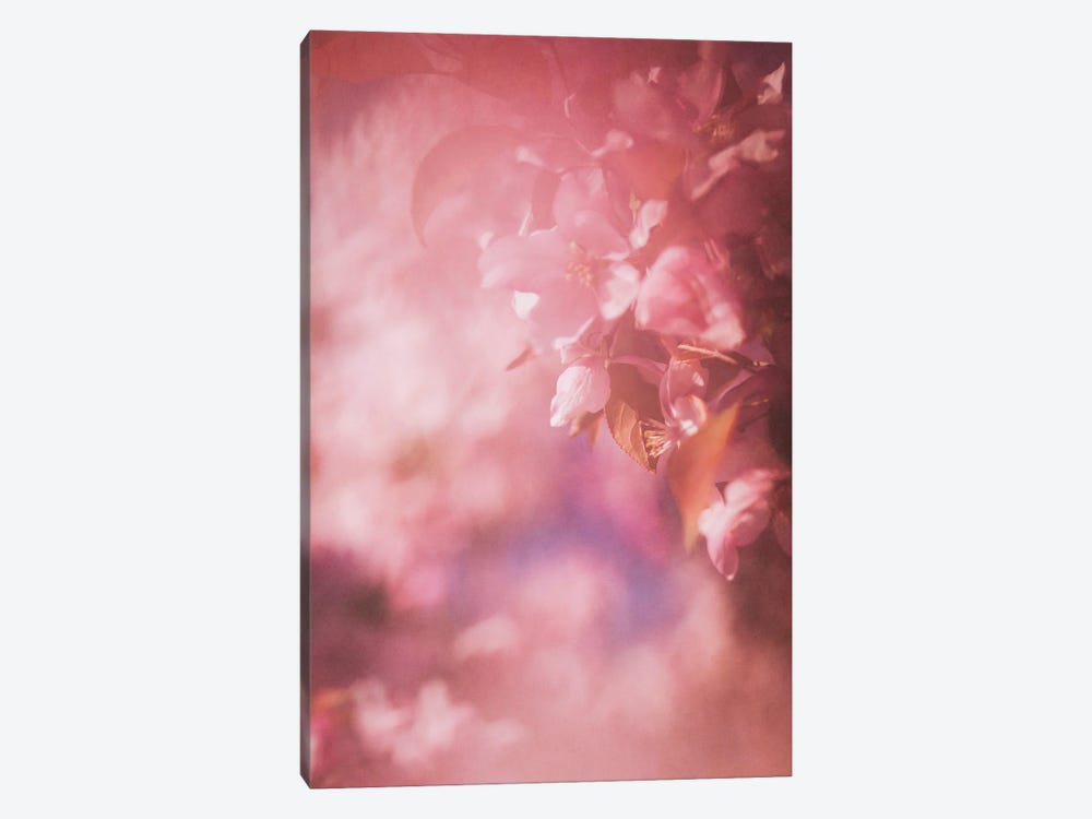 Pink Apple Blossoms by Roberta Murray 1-piece Canvas Print