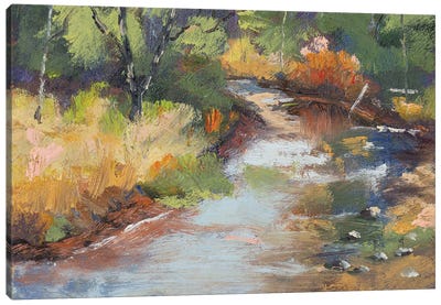 Bragg Creek Canvas Art Print - Roberta Murray