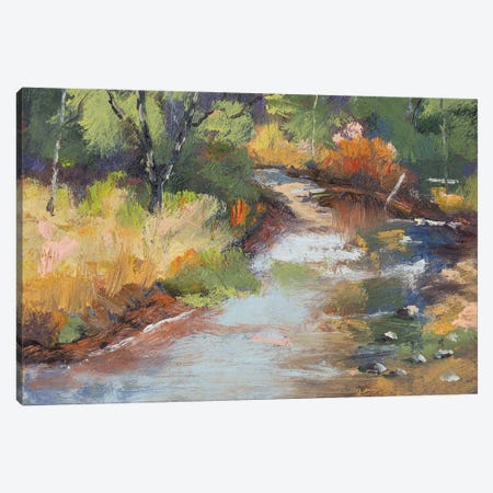 Bragg Creek Canvas Print #RMU230} by Roberta Murray Canvas Wall Art